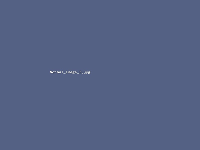 File:Normal image 3.jpg